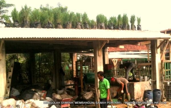 Sawah Portabel (2)